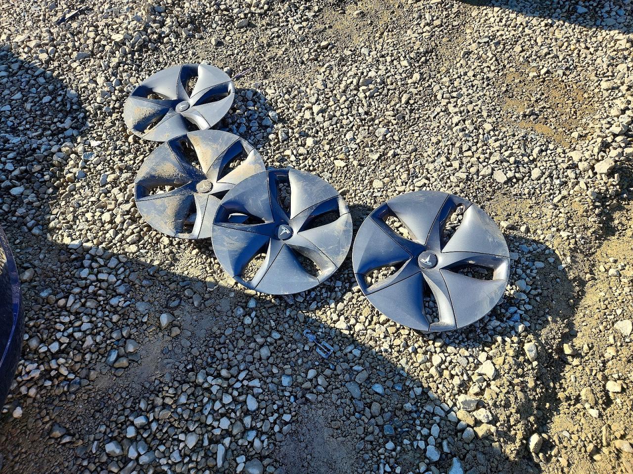 2019 TESLA MODEL 3 photo 12