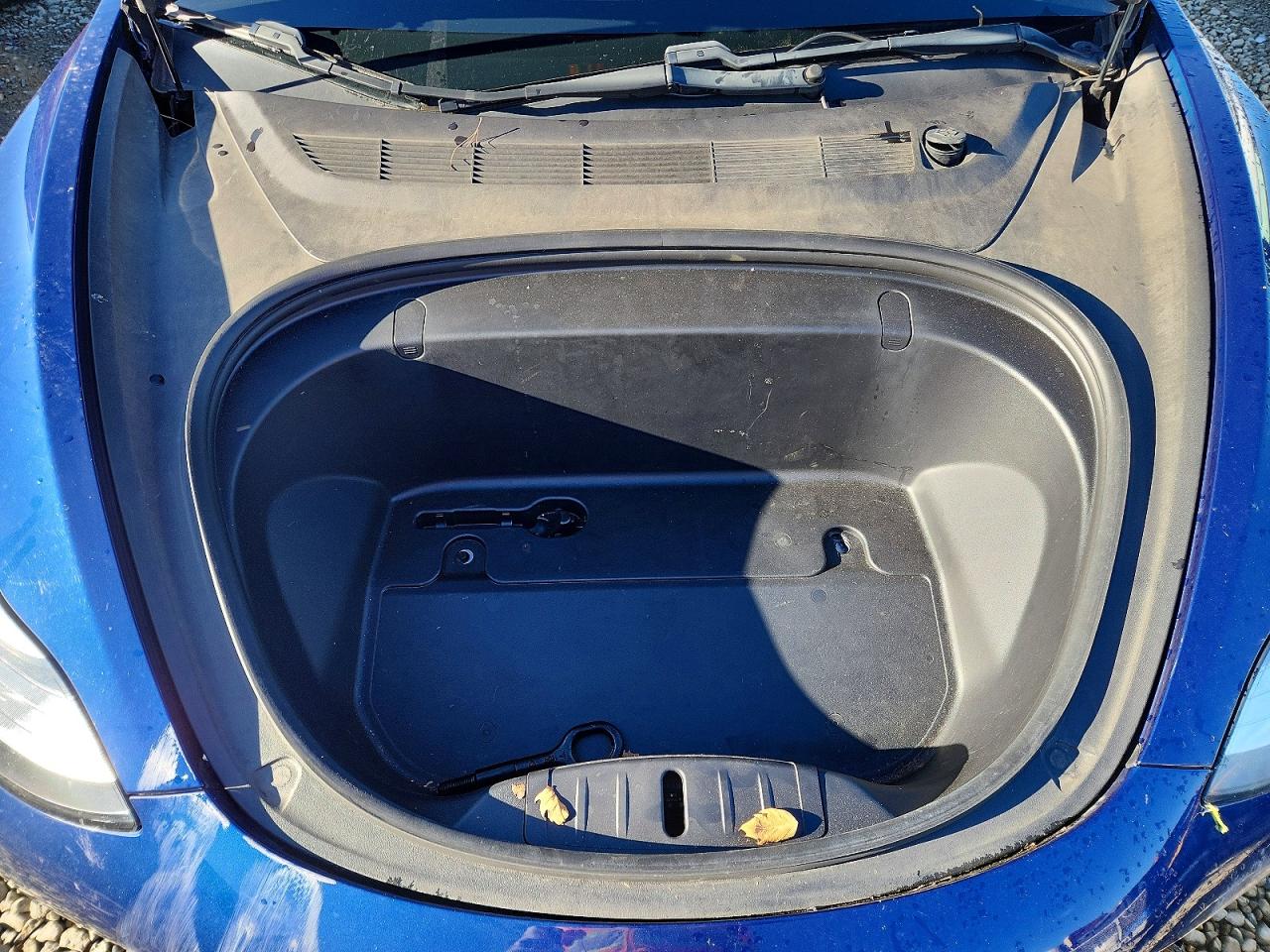 2019 TESLA MODEL 3 photo 11