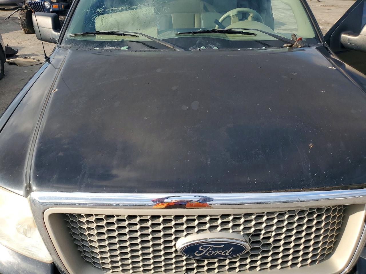 2004 FORD F150 photo 11