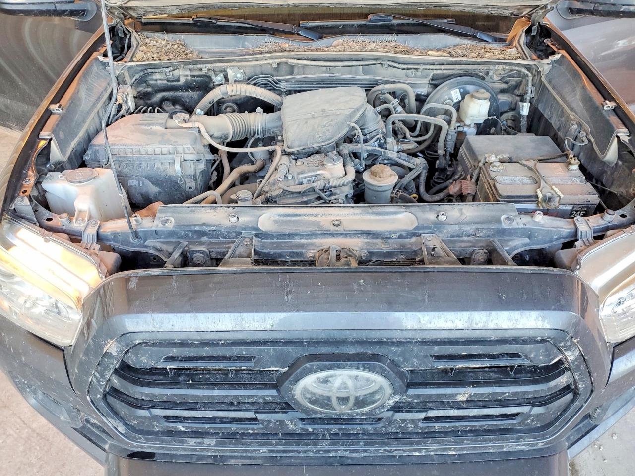 2019 TOYOTA TACOMA ACCESS CAB photo 11
