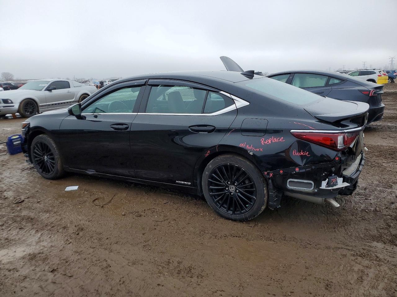 2022 LEXUS ES 300H BASE photo 2