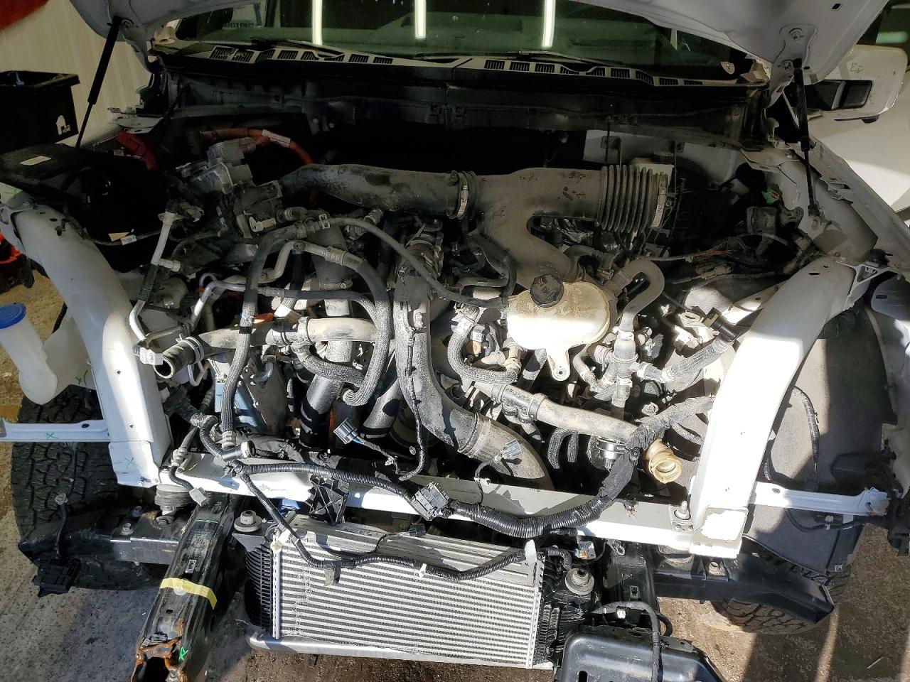 2024 FORD F150 KING RANCH photo 21