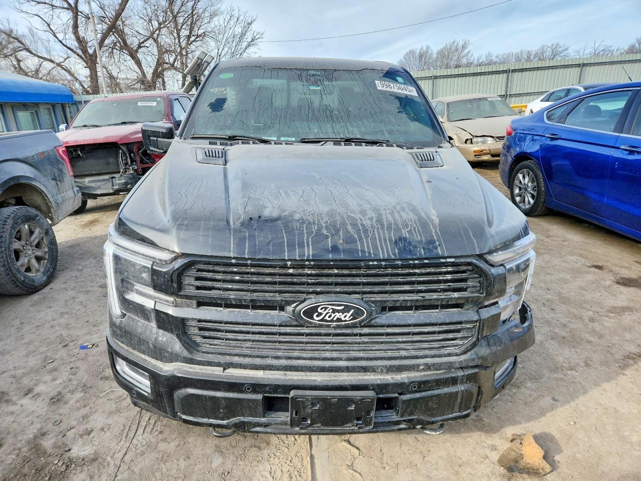 2025 FORD F150 PLATINUM photo 5