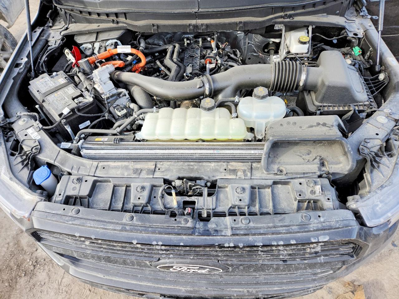 2025 FORD F150 PLATINUM photo 11