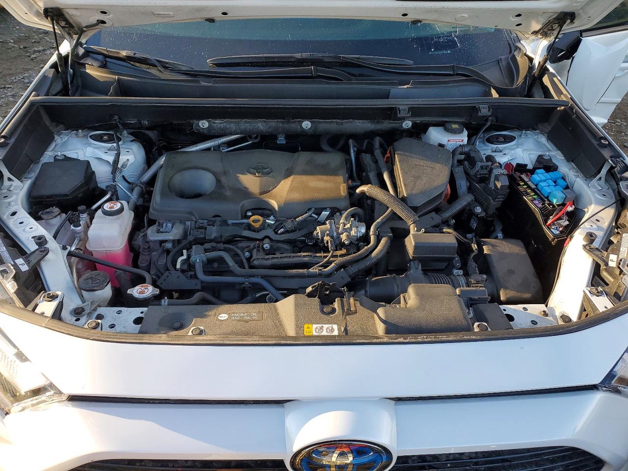 2024 TOYOTA RAV4 XSE photo 12