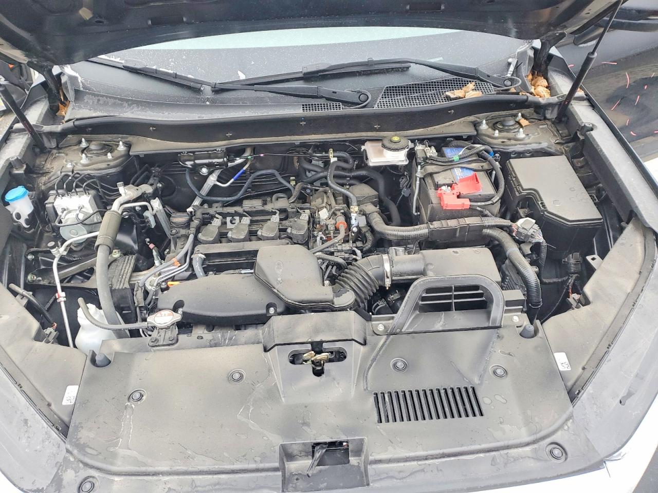 2025 HONDA CR-V EXL photo 12