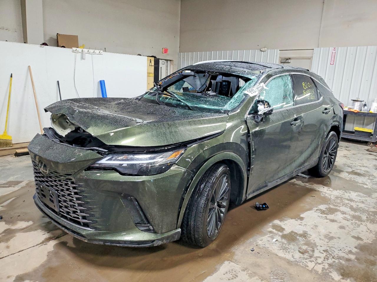 2025 LEXUS RX