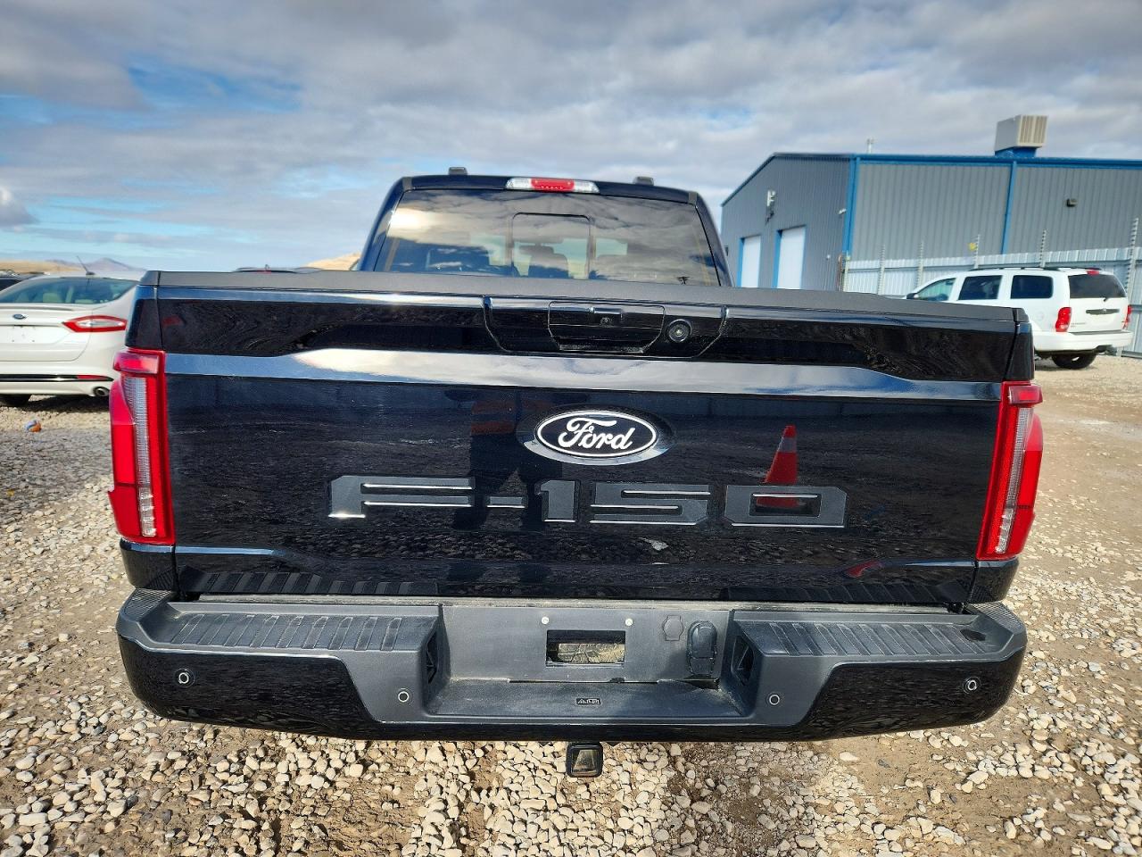 2024 FORD F150 LARIAT photo 6