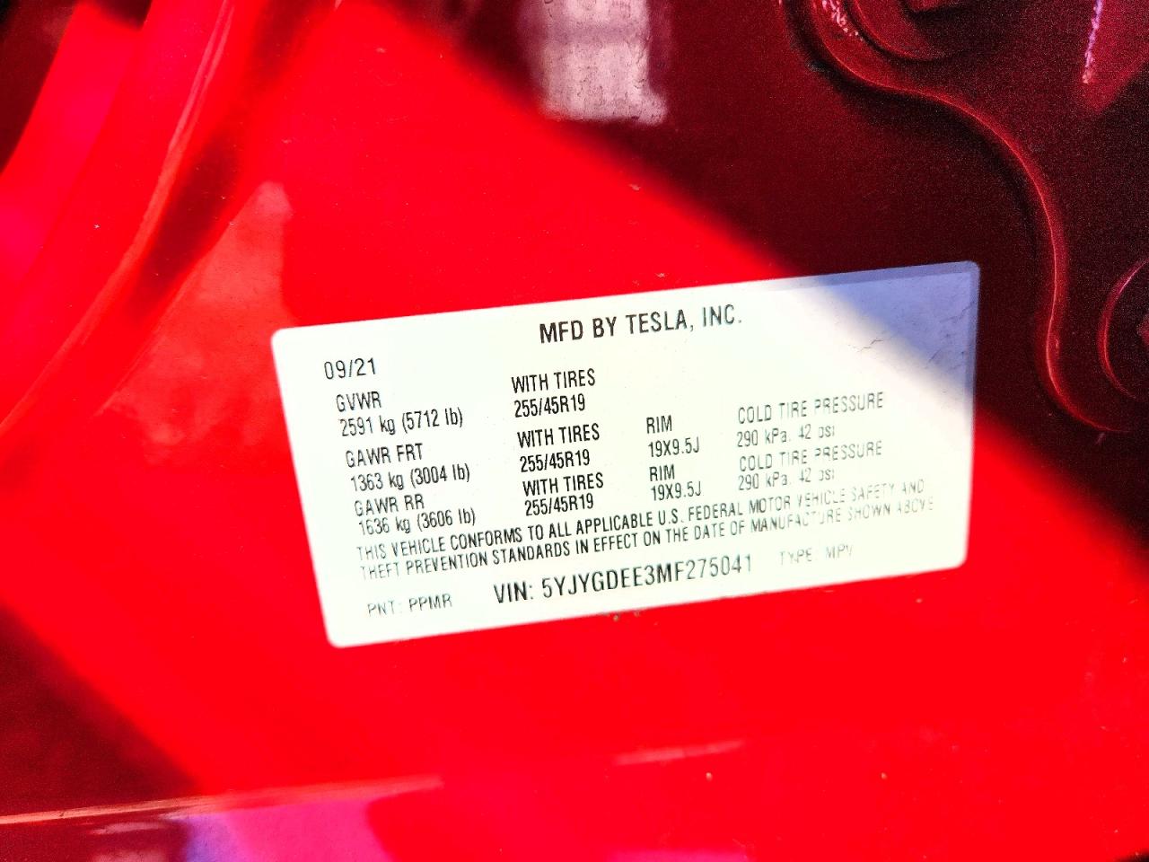 2021 TESLA MODEL Y photo 13
