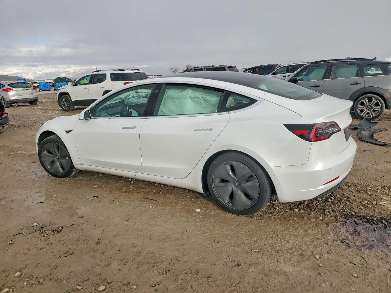 2019 TESLA MODEL 3 photo 3