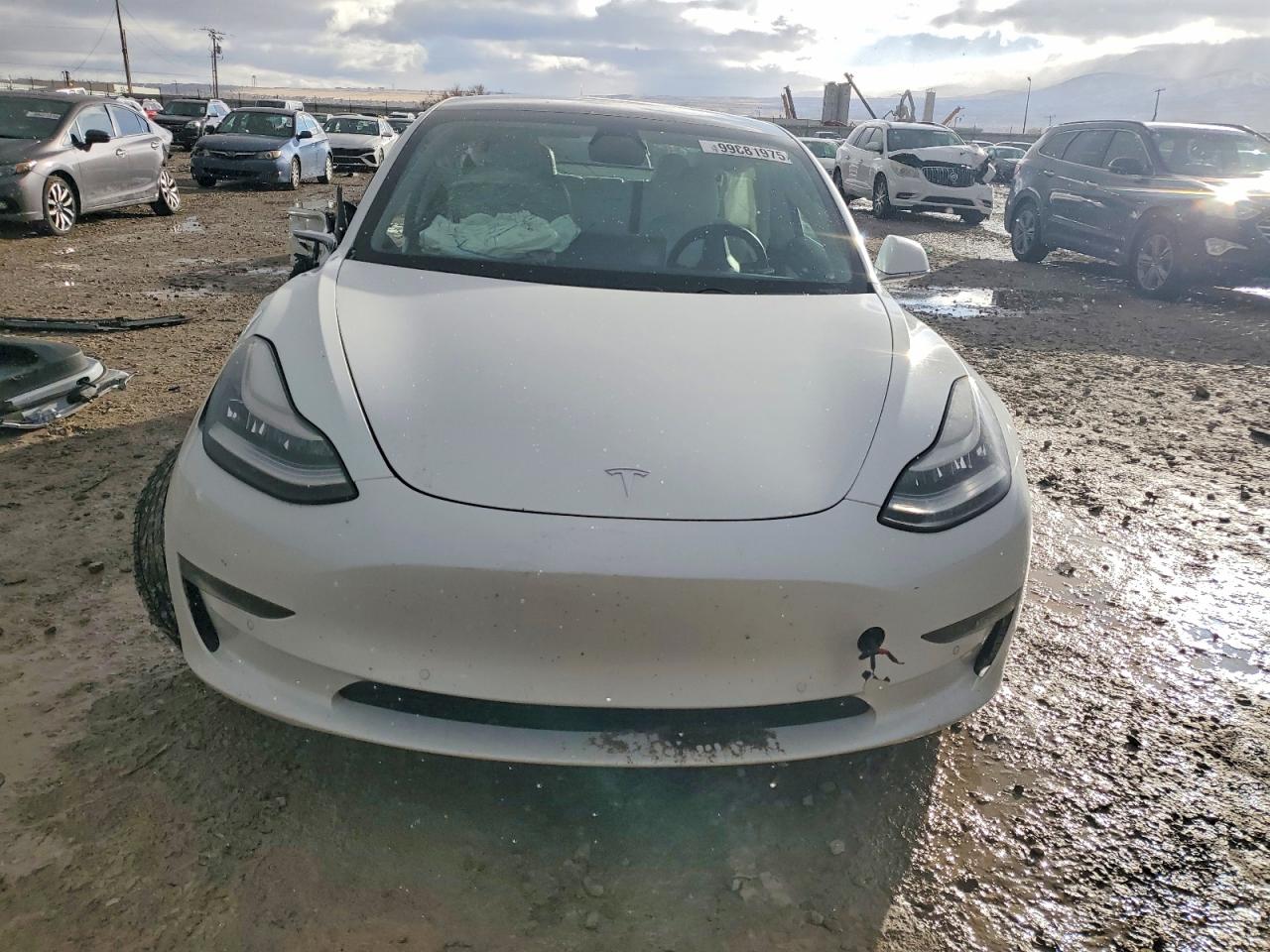 2019 TESLA MODEL 3 photo 9