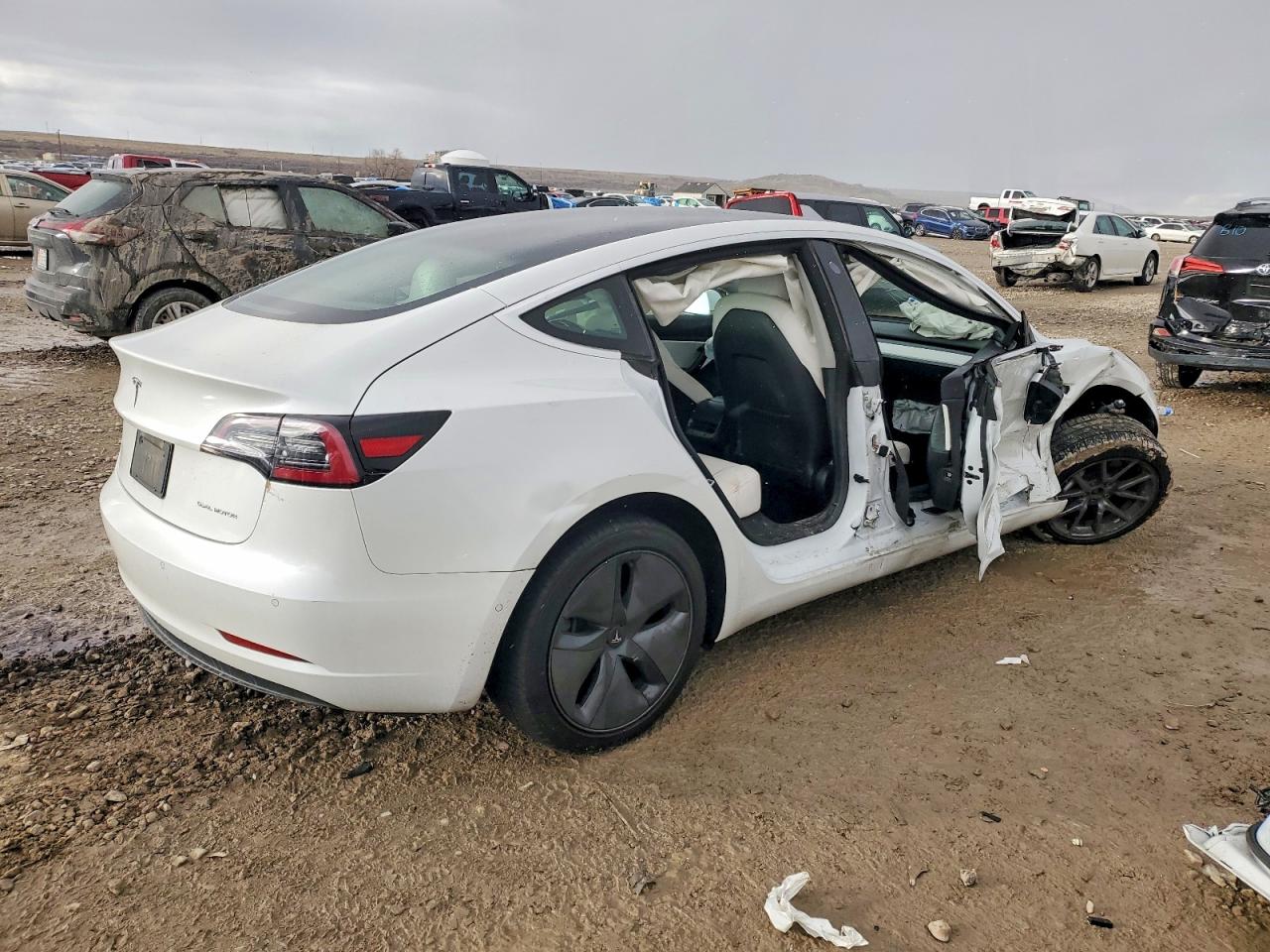 2019 TESLA MODEL 3 photo 5