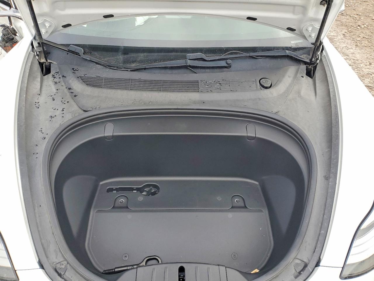 2019 TESLA MODEL 3 photo 21