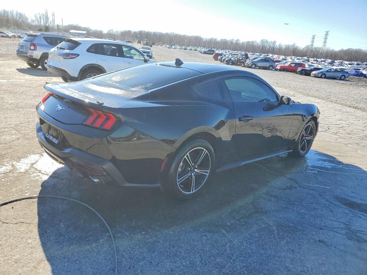 2025 FORD MUSTANG photo 5