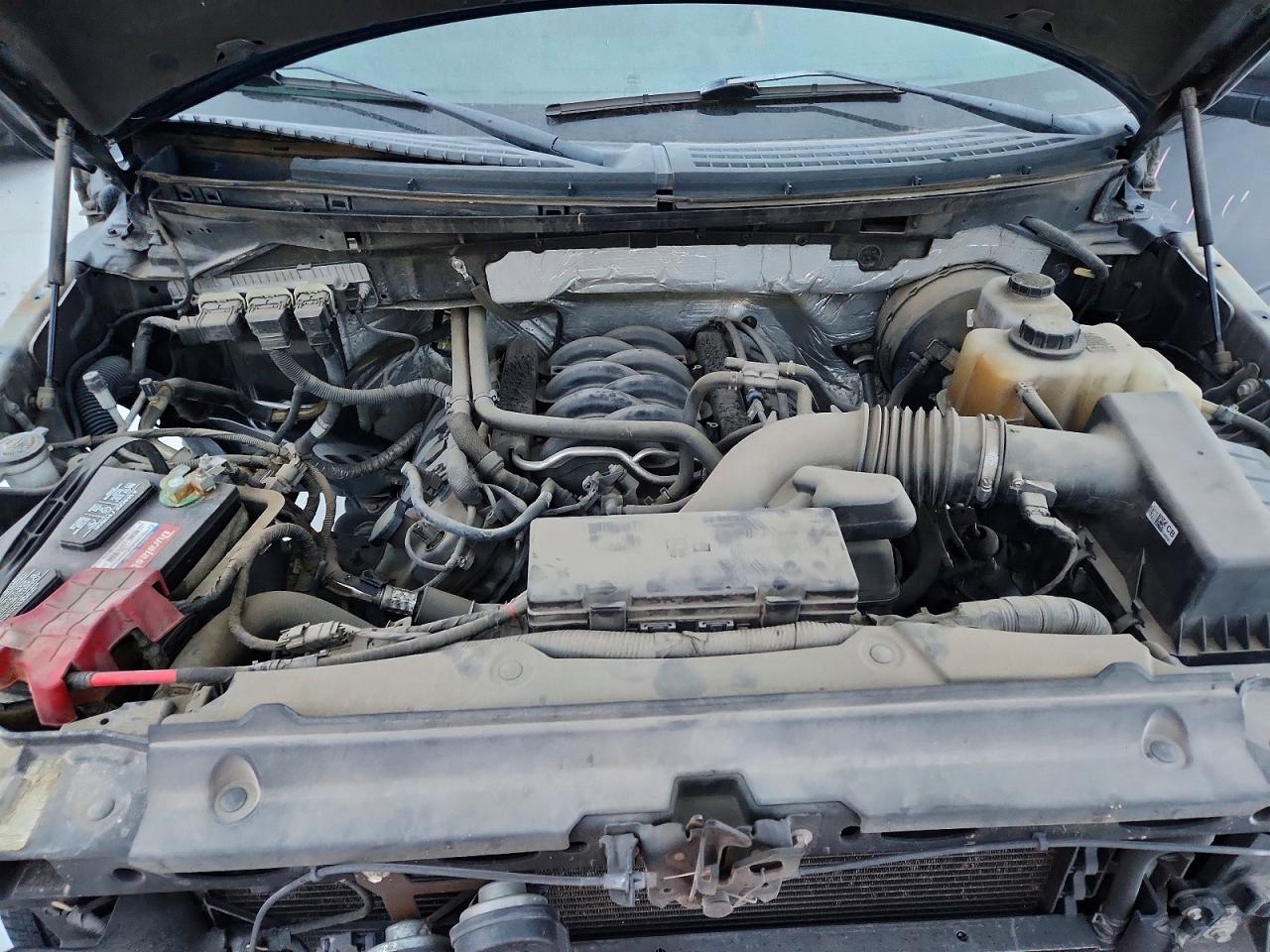 2013 FORD F150 SUPERCREW photo 11