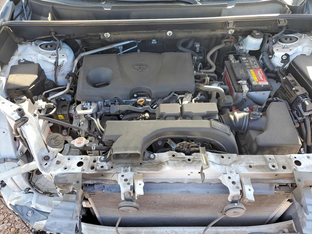 2019 TOYOTA RAV4 XLE photo 12