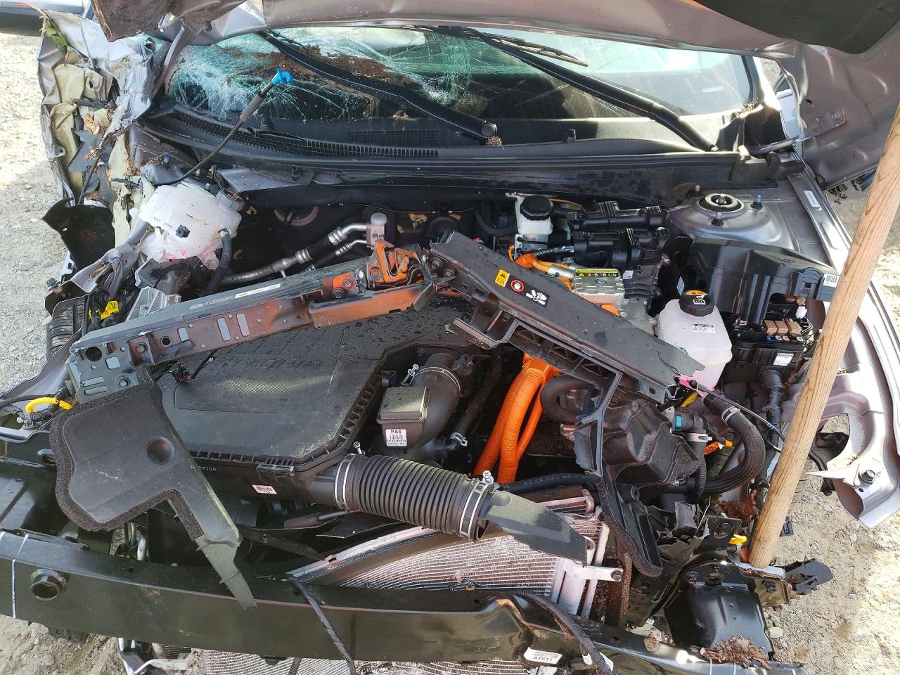 2025 HYUNDAI ELANTRA LIMITED photo 11