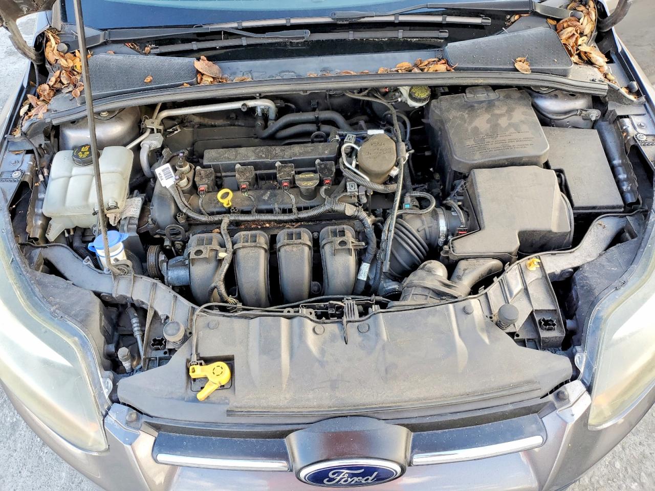2014 FORD FOCUS SE photo 11