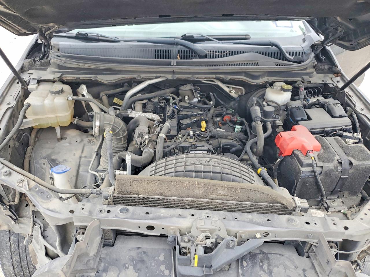 2019 FORD RANGER XL photo 11