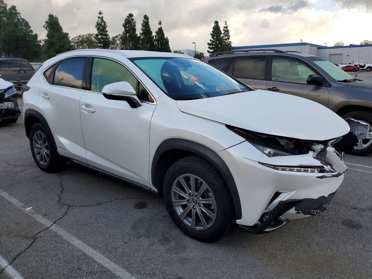 2020 LEXUS NX 300H BASE photo 4