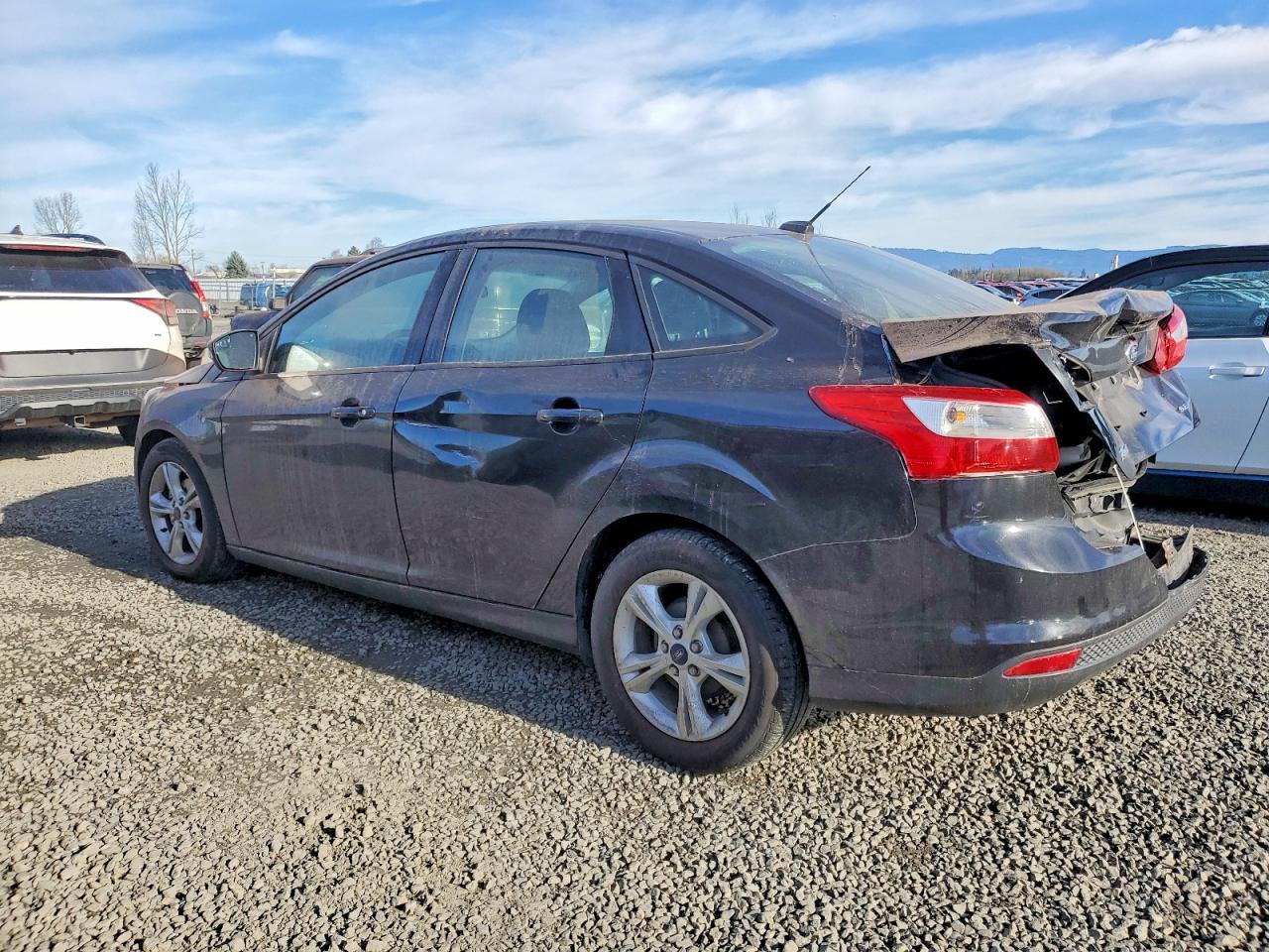 2014 FORD FOCUS SE photo 2