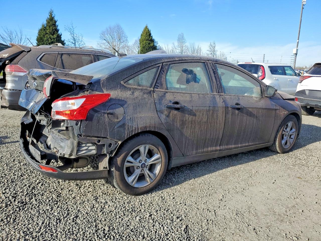 2014 FORD FOCUS SE photo 3