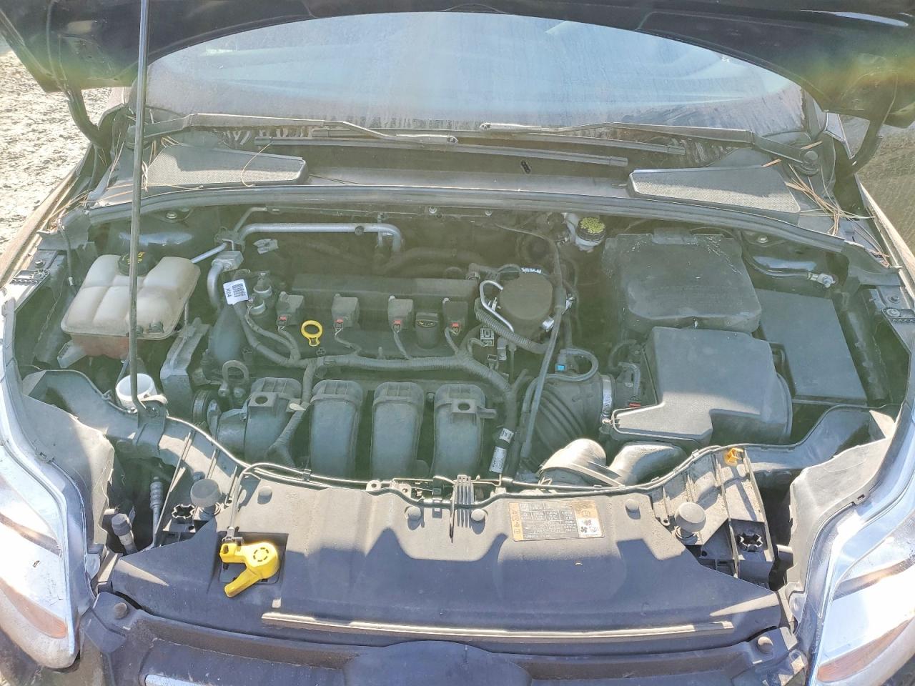 2014 FORD FOCUS SE photo 11