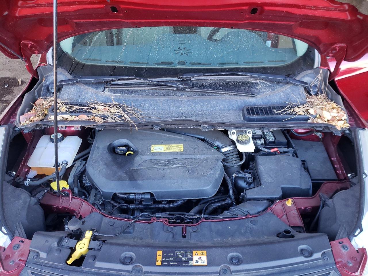 2013 FORD ESCAPE SE photo 11