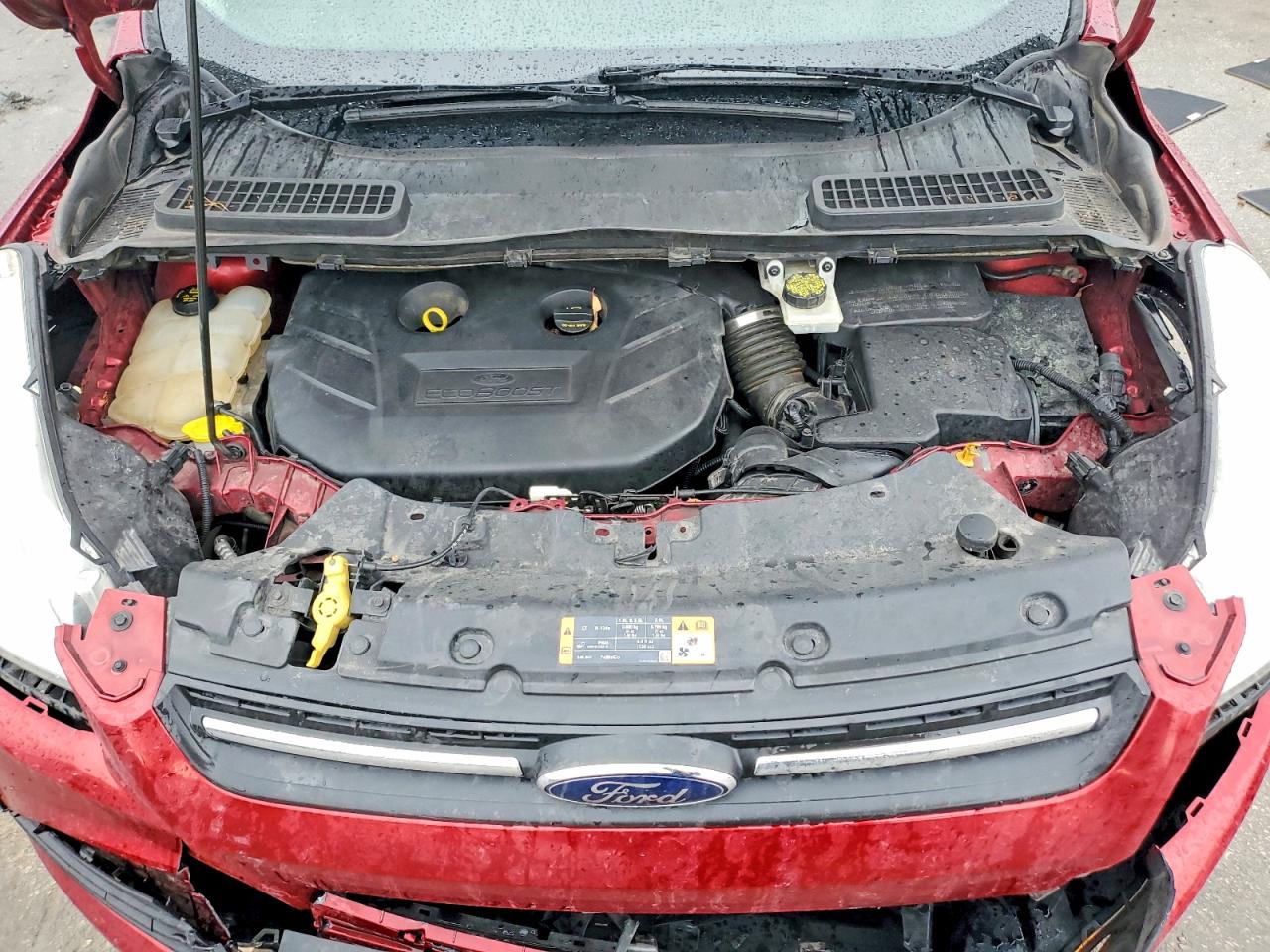 2015 FORD ESCAPE SE photo 11