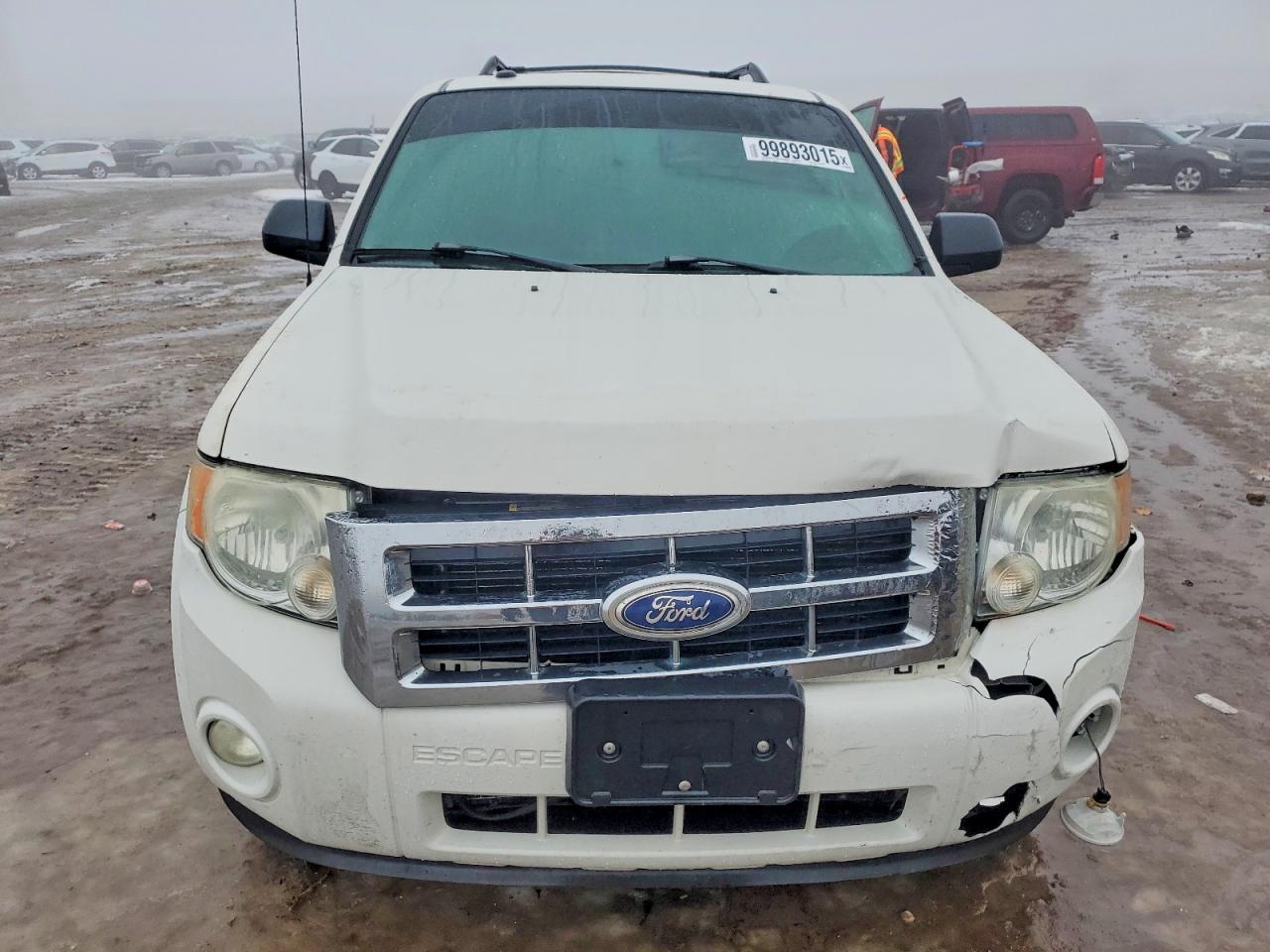 2010 FORD ESCAPE XLT photo 5