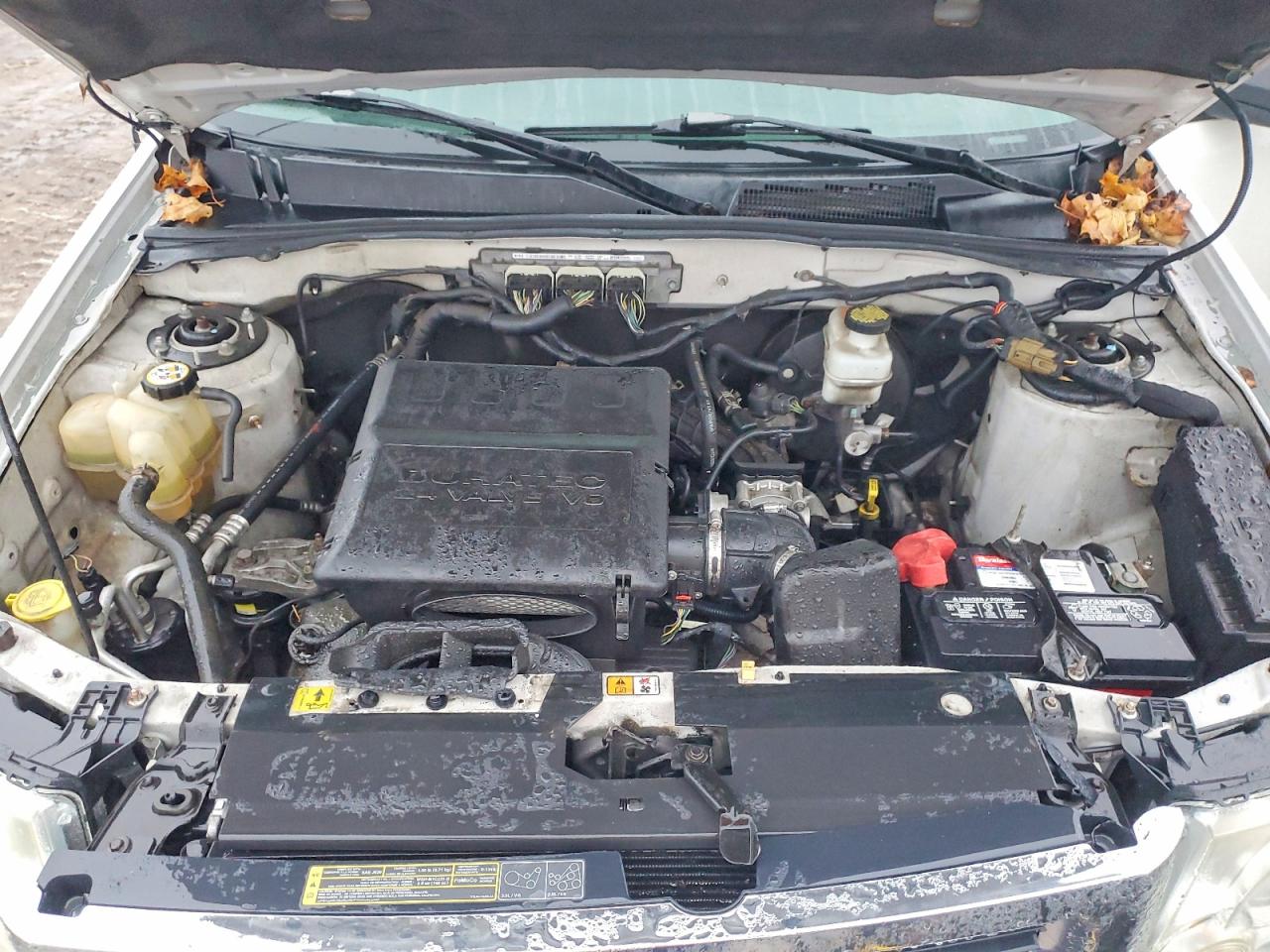 2010 FORD ESCAPE XLT photo 12