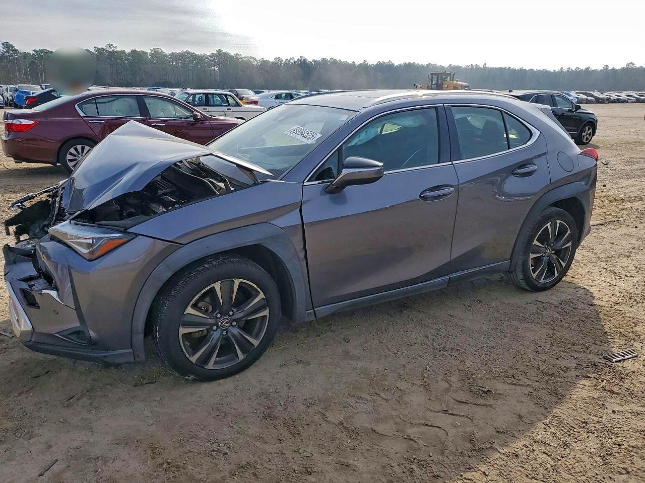 2020 LEXUS UX
