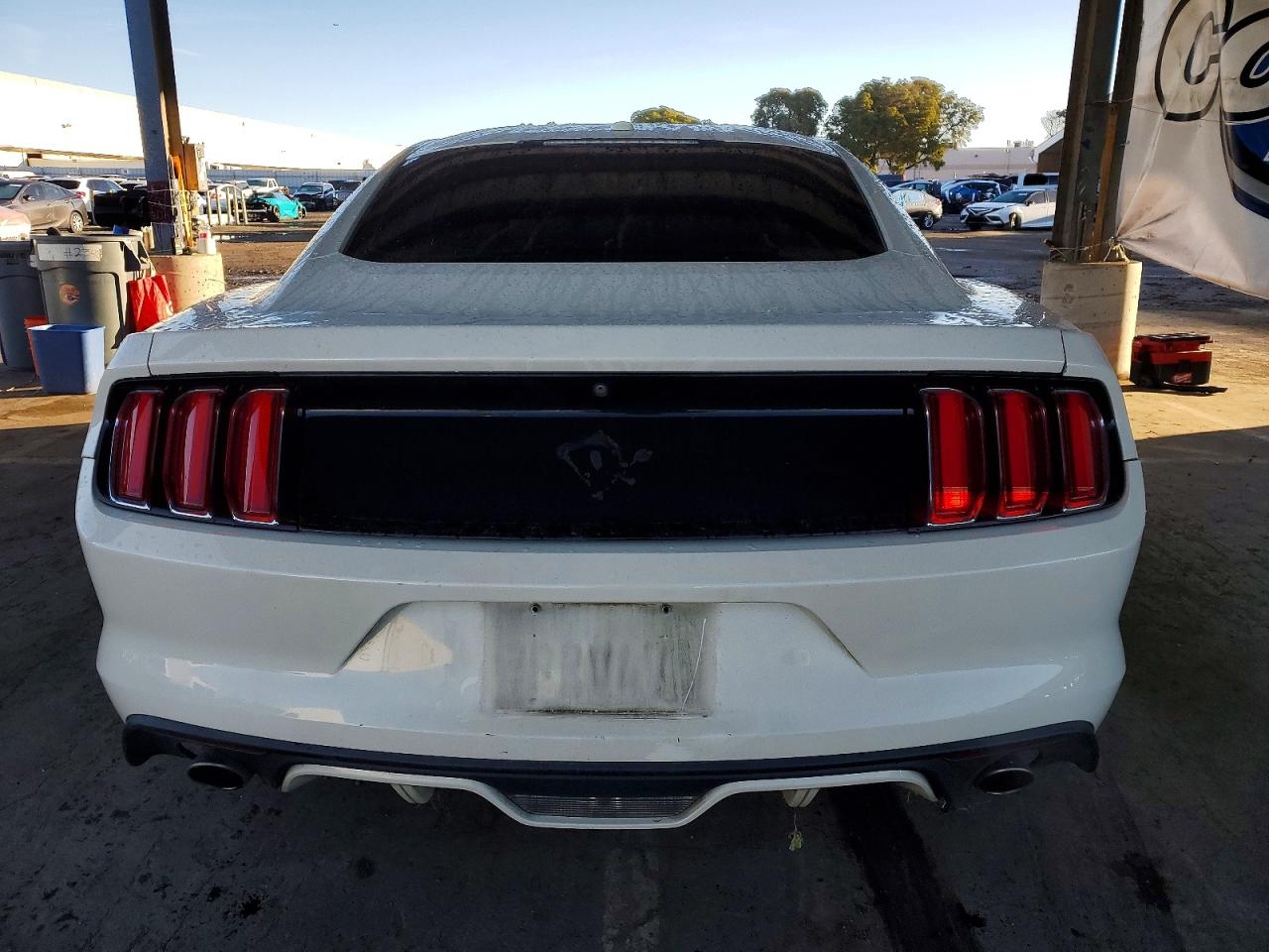 2015 FORD MUSTANG 50TH ANNIVERSARY photo 16
