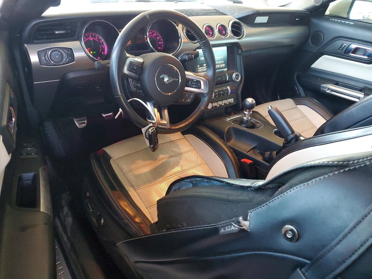 2015 FORD MUSTANG 50TH ANNIVERSARY photo 22