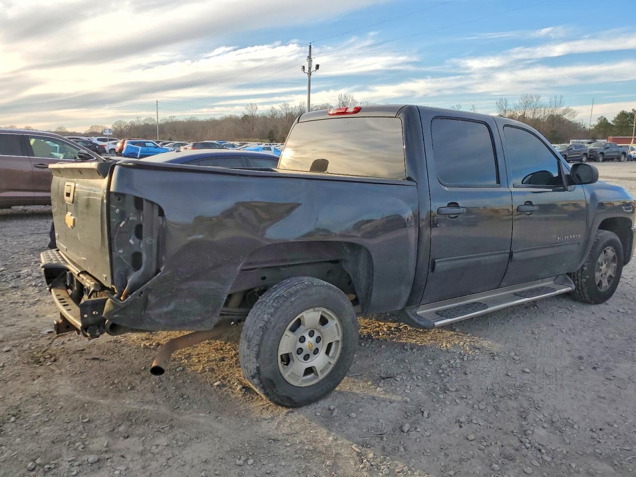 2010 CHEVROLET SILVERADO C1500 LT photo 3