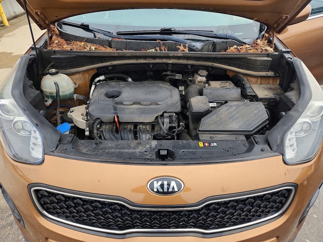 2019 KIA SPORTAGE LX photo 12