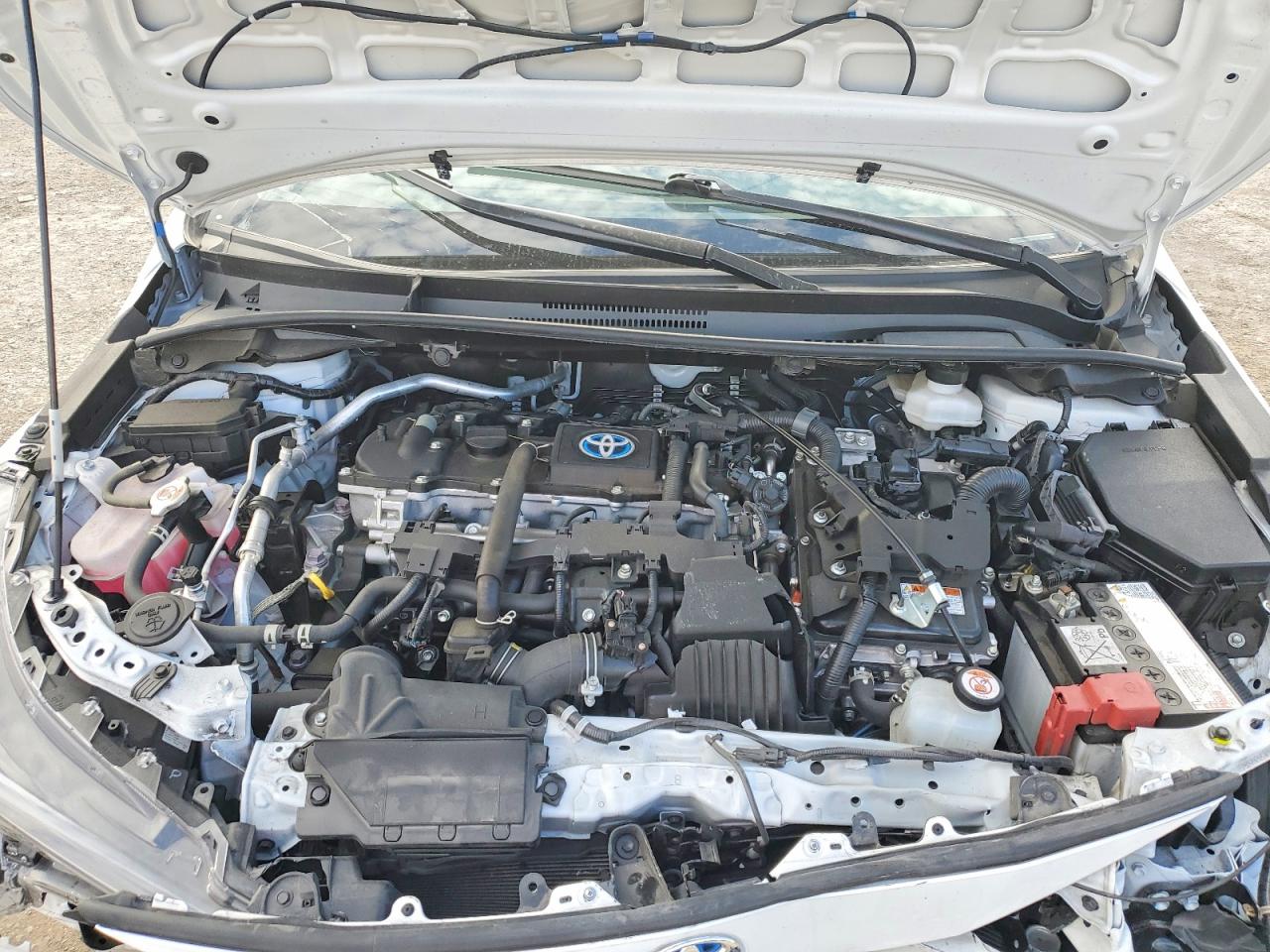2023 TOYOTA COROLLA LE photo 11