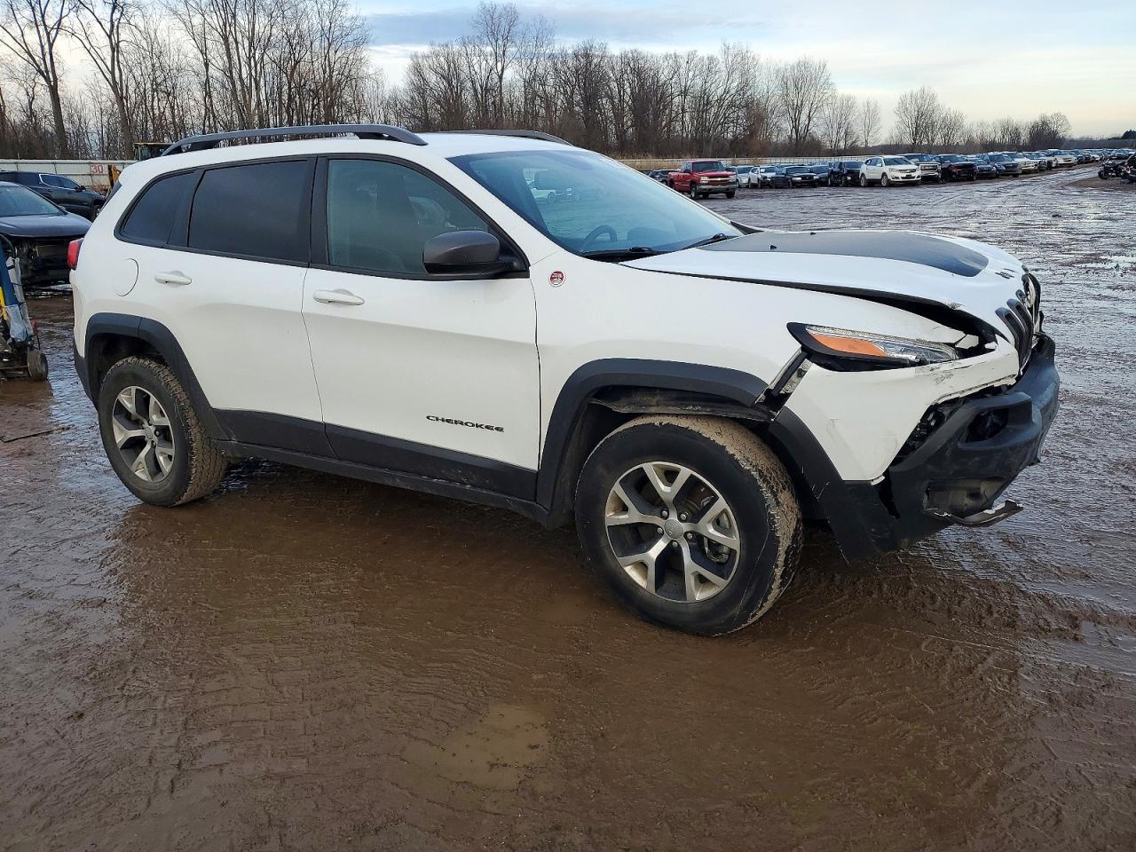 2017 JEEP CHEROKEE TRAILHAWK photo 4