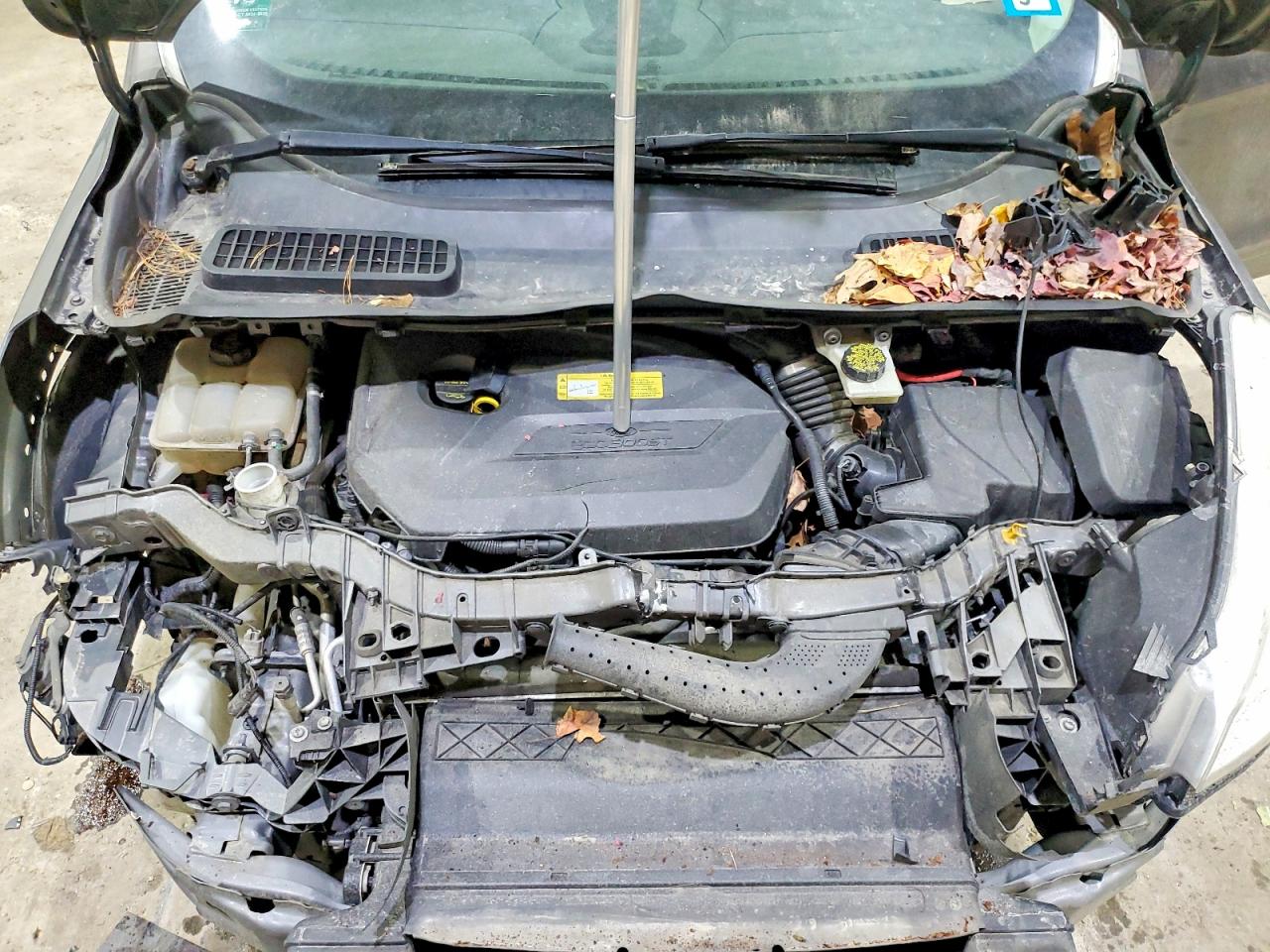 2014 FORD ESCAPE TITANIUM photo 23