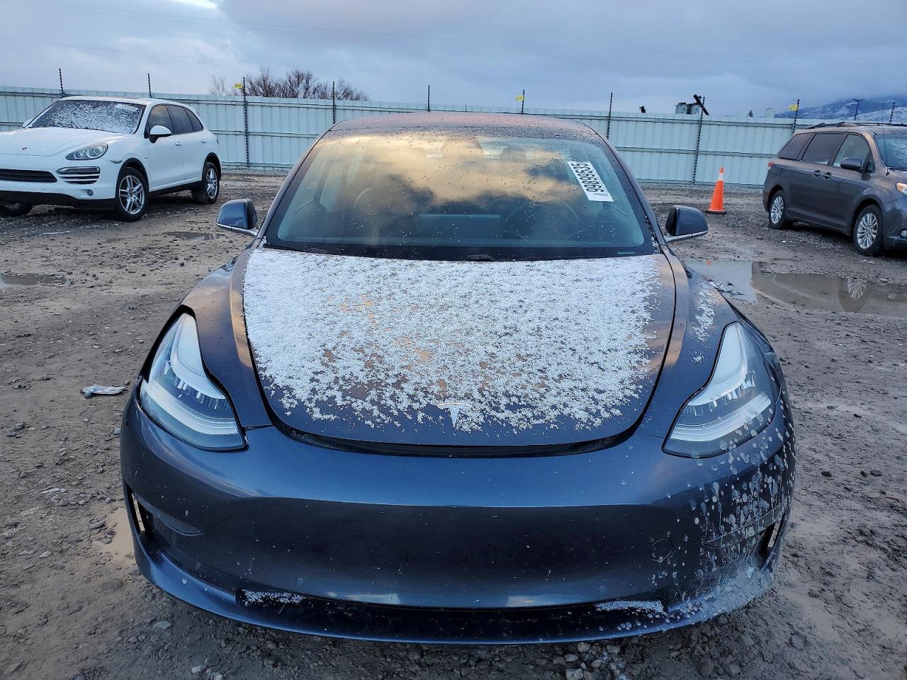 2019 TESLA MODEL 3 photo 5