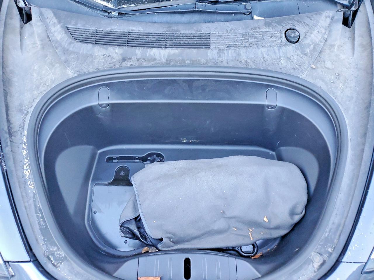 2019 TESLA MODEL 3 photo 11