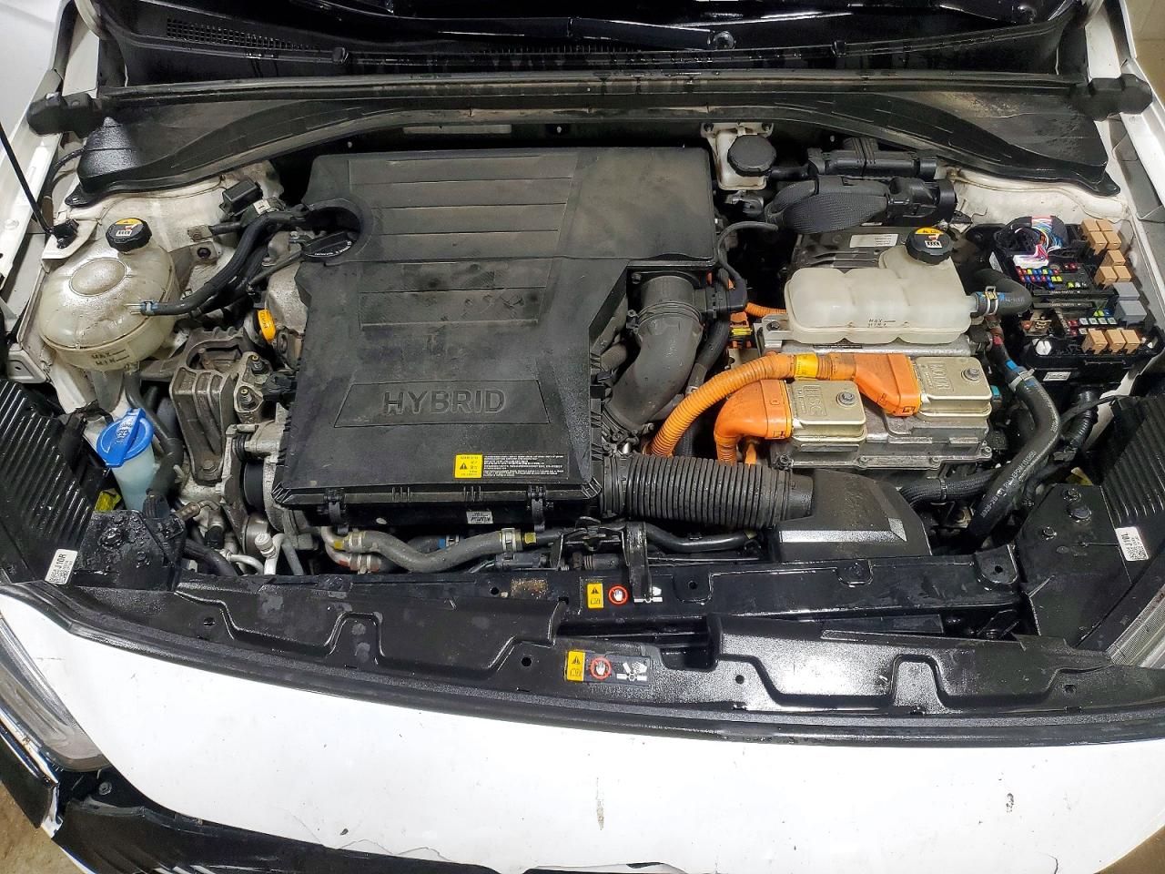 2019 HYUNDAI IONIQ LIMITED photo 11