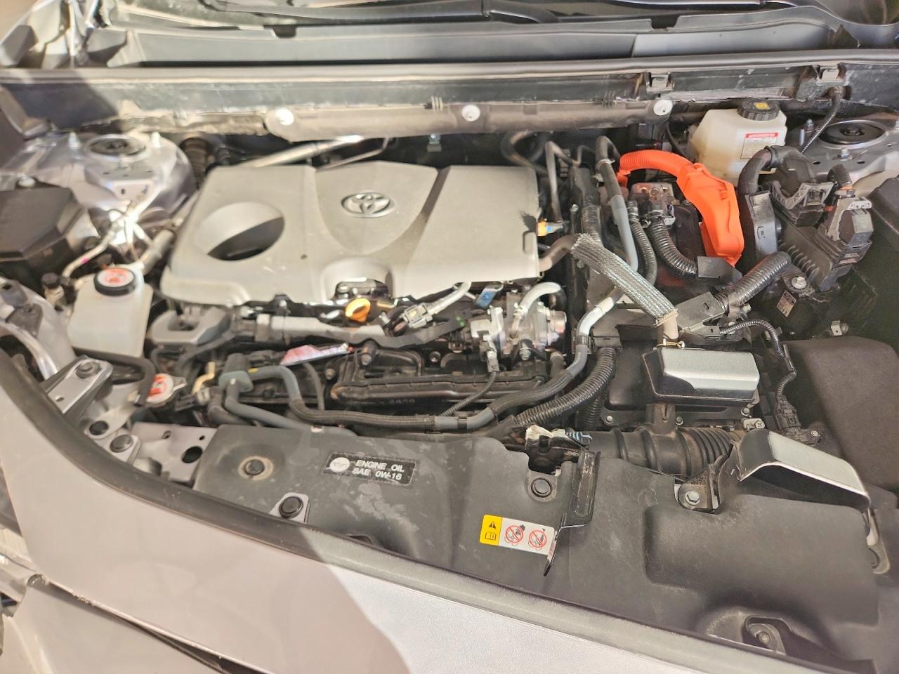 2024 TOYOTA RAV4 LE photo 12