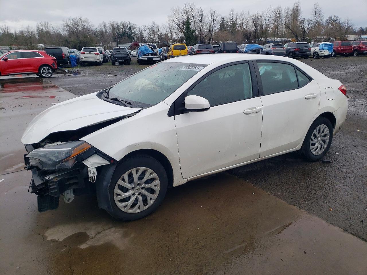 2019 TOYOTA COROLLA