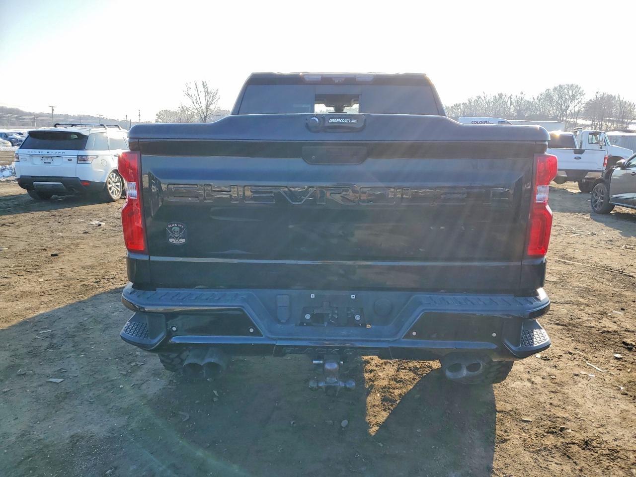 2020 CHEVROLET SILVERADO K1500 LTZ photo 6