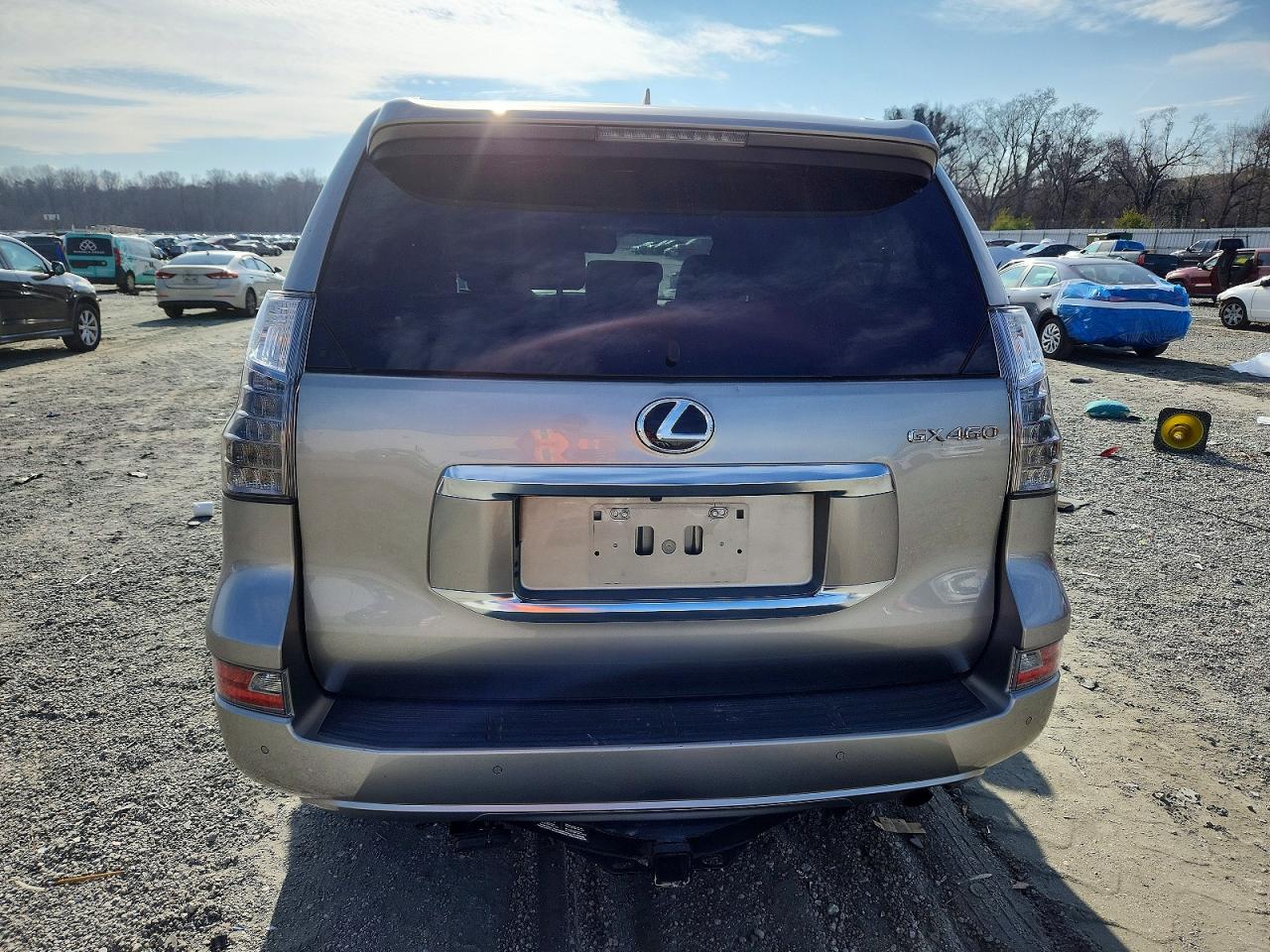2021 LEXUS GX 460 LUXURY photo 6