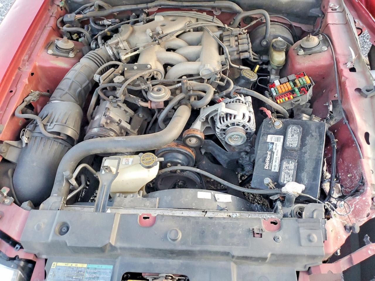 2003 FORD MUSTANG photo 11