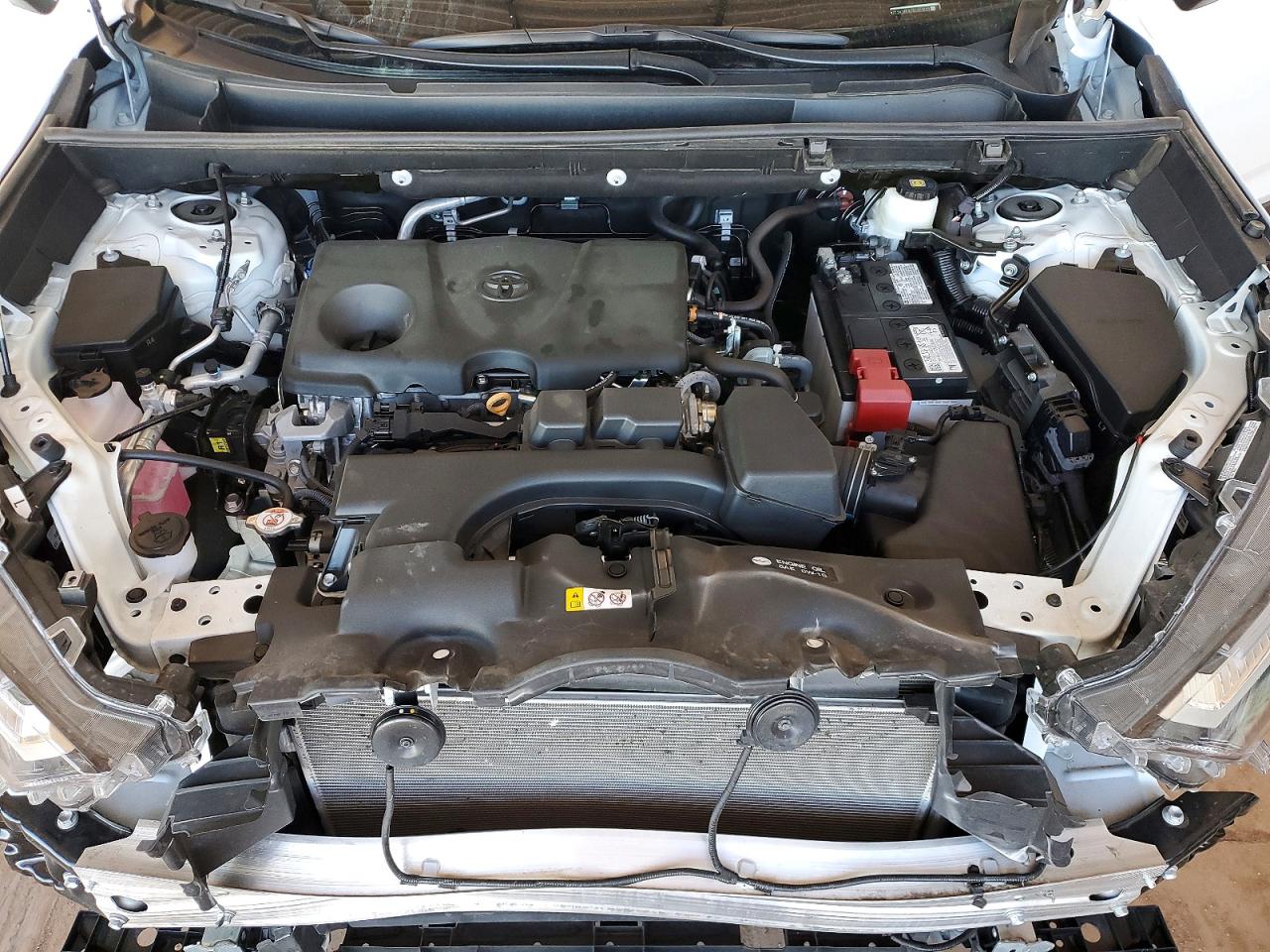 2025 TOYOTA RAV4 XLE photo 12