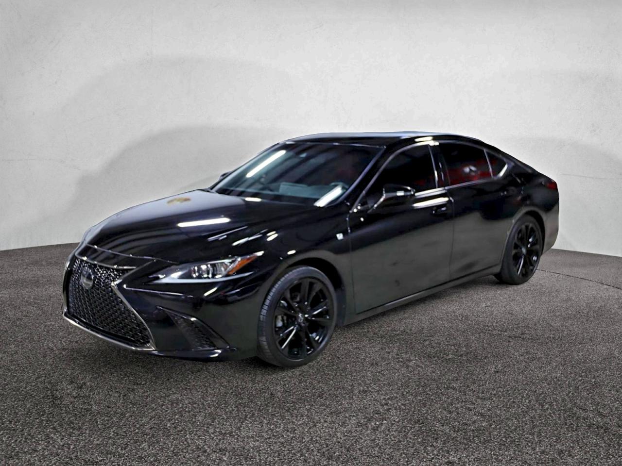 2024 LEXUS ES 350 F SPORT HANDLING photo 2