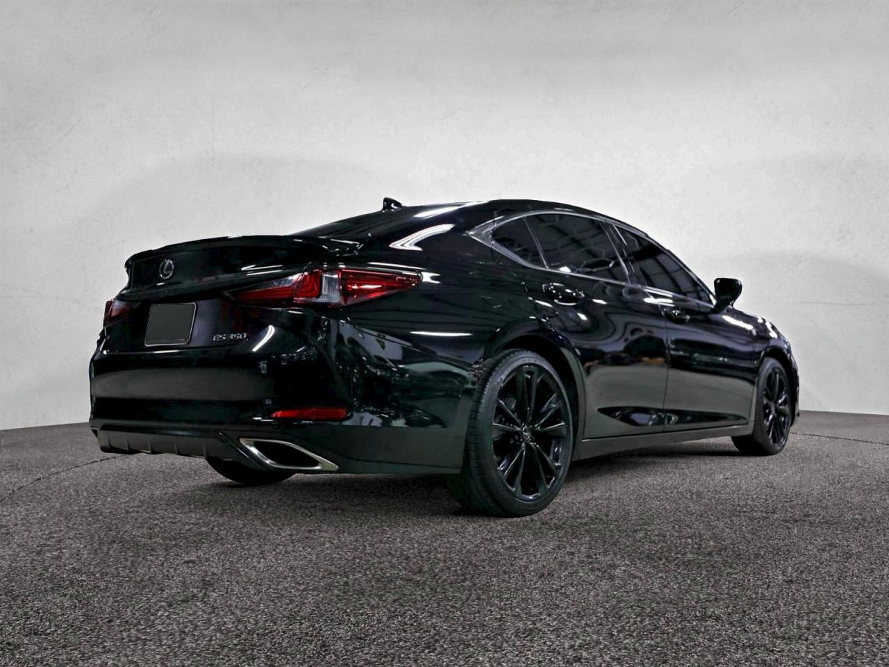 2024 LEXUS ES 350 F SPORT HANDLING photo 4
